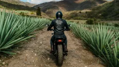 Las mejores rutas en moto en México: experiencias imperdibles