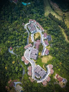 Vista aérea de un pueblo con casas y calles entre árboles