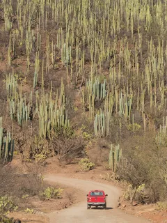 Coche rojo en carretera durante el día